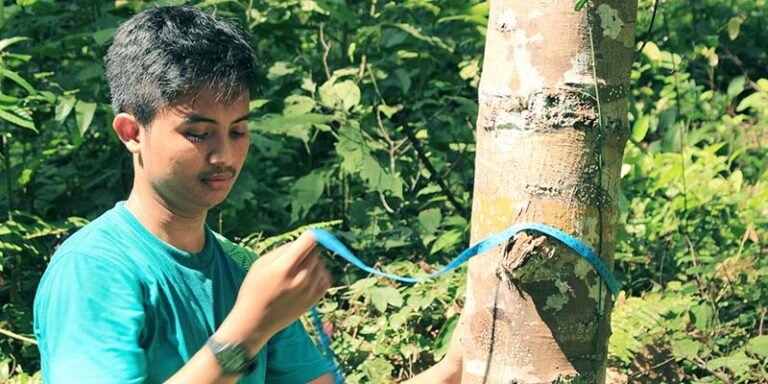 Inventarisasi Hutan