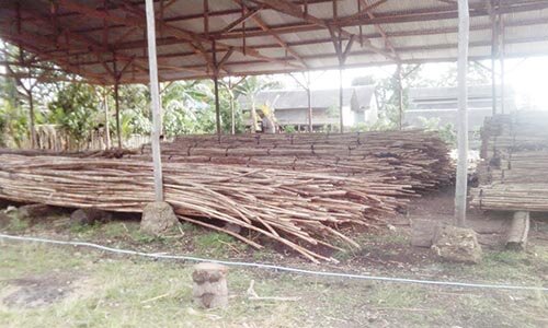Industri Pengolahan HHBK