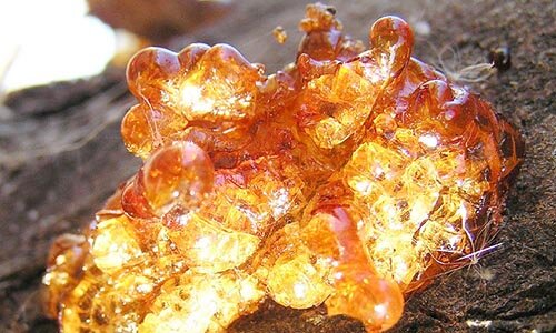 Resin