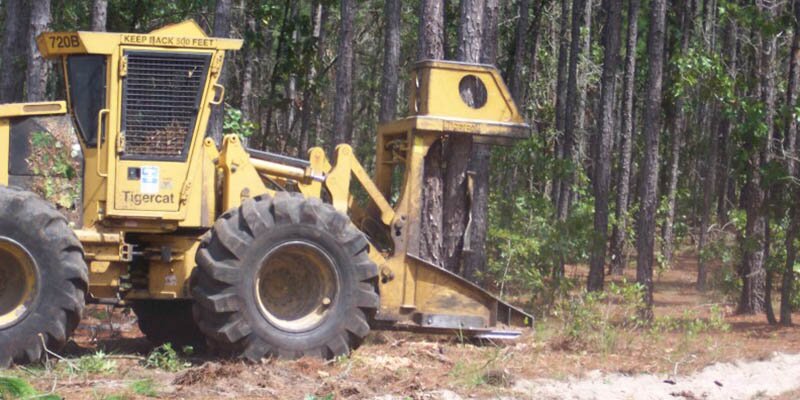 Feller Buncher
