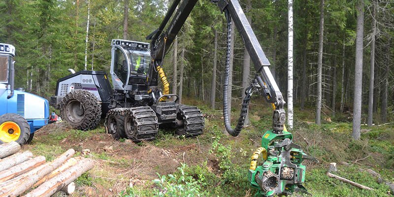 Forest Harvester