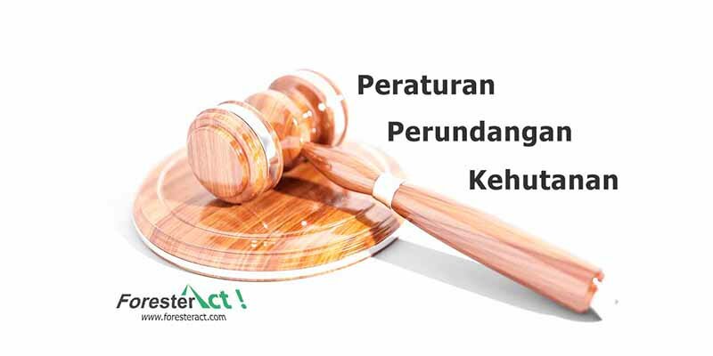 Peraturan Perundangan Kehutanan