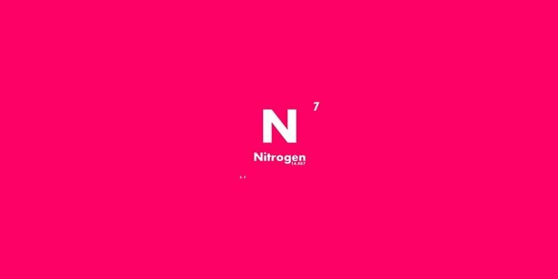 Siklus Unsur Nitrogen