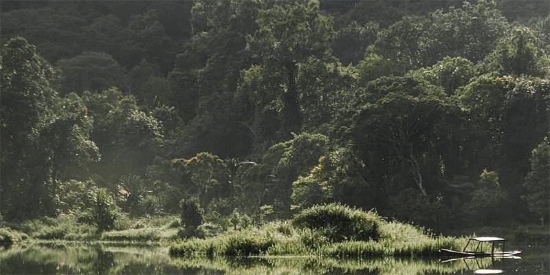 Danau Situ Gunung Taman Nasional Gunung Gede Pangrango