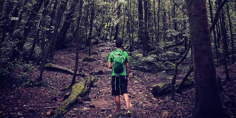 Kandang Batu Taman Nasional Gunung Gede-Pangrango