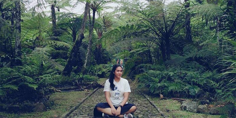 Kebun Raya Cibodas