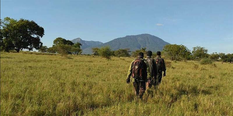Kegiatan Patroli di Taman Nasional Baluran