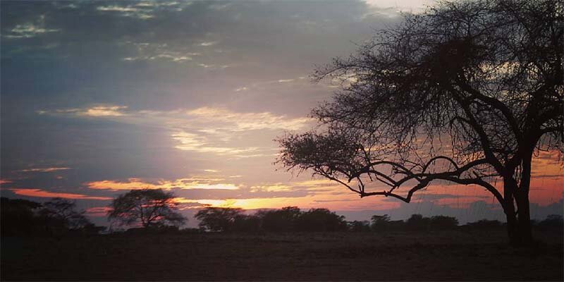 Suasana Senja di TN Baluran