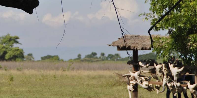 Taman Nasional Baluran