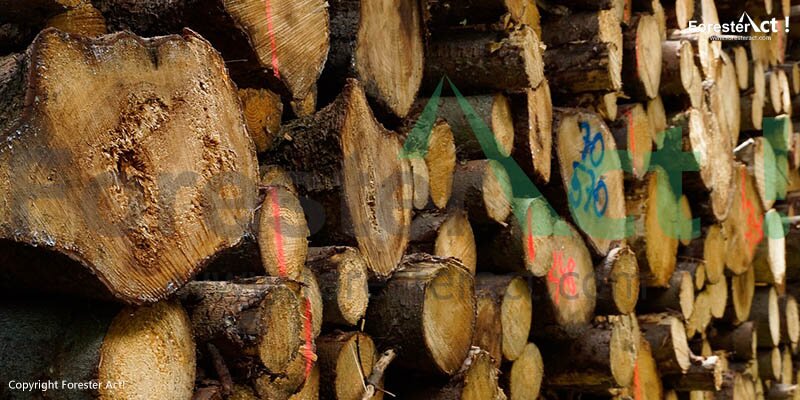 Hasil Hutan Kayu