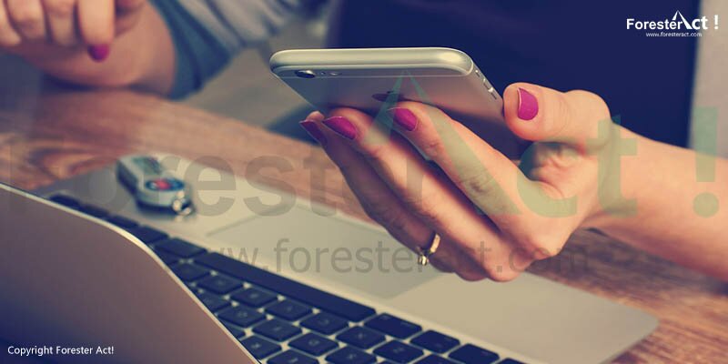Kegiatan SIPUHH Online