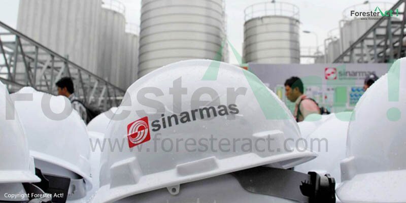 Sinarmas Forestry