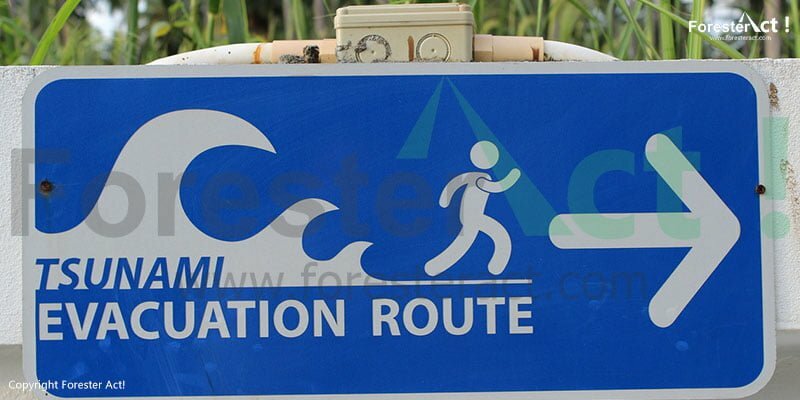 Papan Pemberitahuan Jalur Evakuasi Tsunami