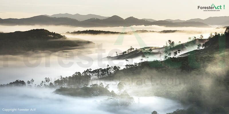 Hutan Konservasi
