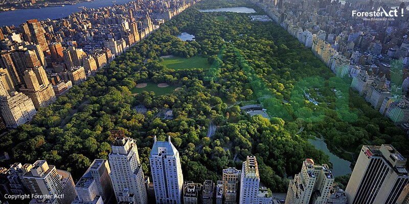 Hutan Kota di New York