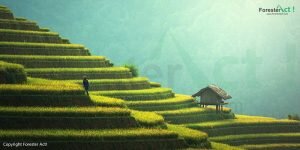 Konservasi Tanah dan Air