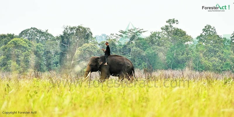 Pemandangan Indah di Taman Nasional Way Kambas