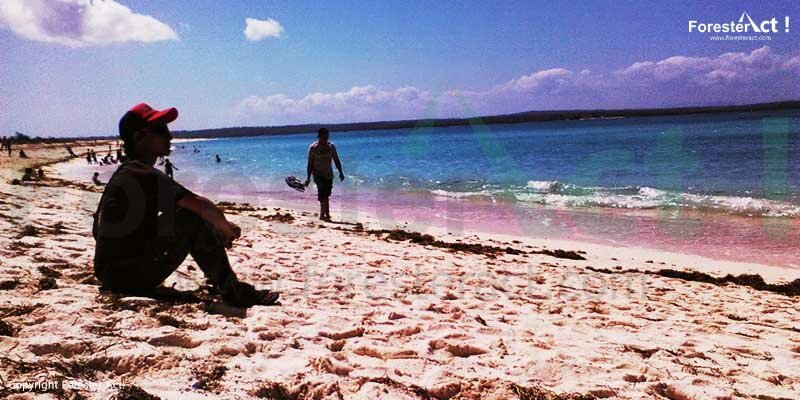 Pantai Cemara Kasih