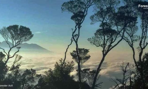 Puncak Manik Gunung Salak