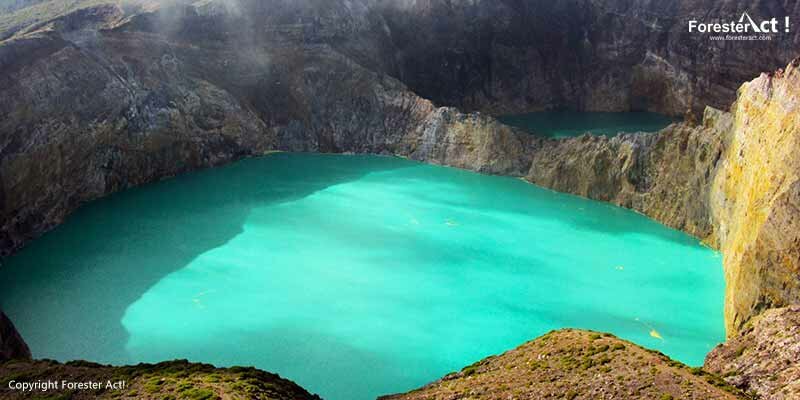 Blooming alga di danau kelimutu