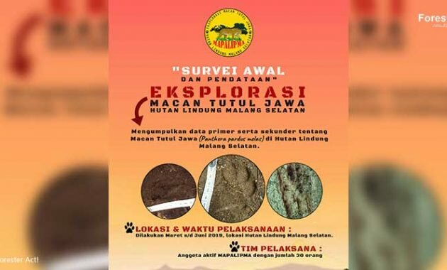 Eksplorasi Macan Tutul Jawa