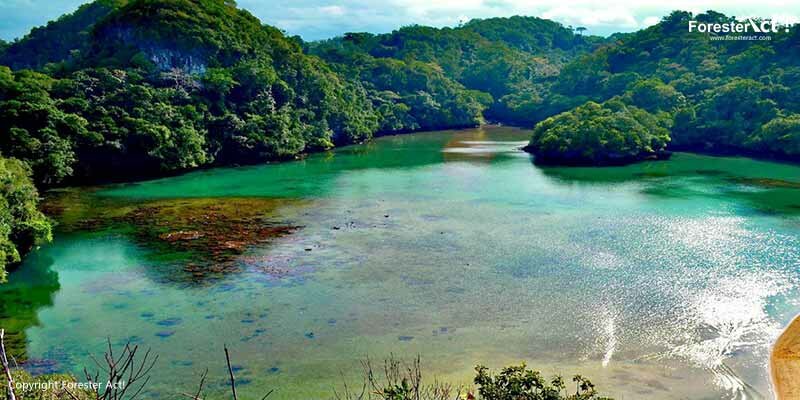 Indahnya Pulau Sempu yang Tidak Boleh Dikunjungi