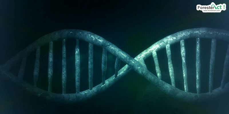 Ilustrasi DNA