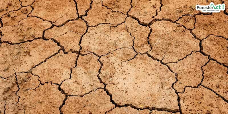 Contoh lahan kritis akibat kekeringan Contoh lahan kritis akibat kekeringan