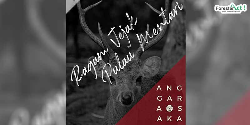 Anggarasaka 2019