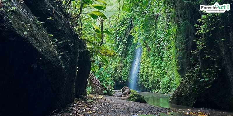 Air Terjun Tukad Cepung (instagram.com)