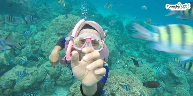 Keindahan Bawah Laut Pulau Rubiah (instagram.com)