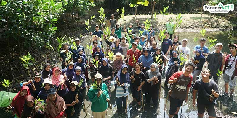 Ketapel Mangrove