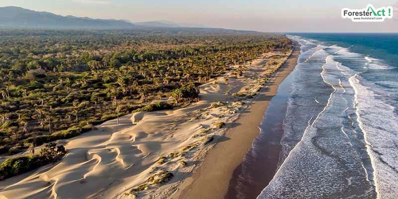 Pantai Oetune (instagram.com)