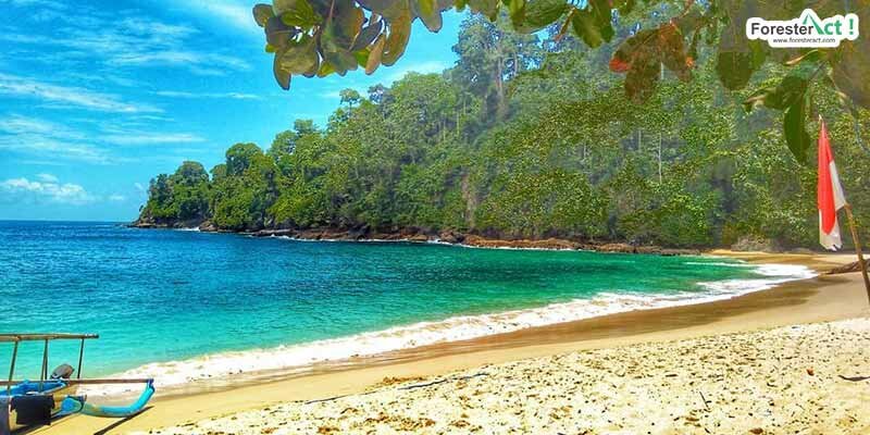 Pantai Teluk Hijau (instagram.com)