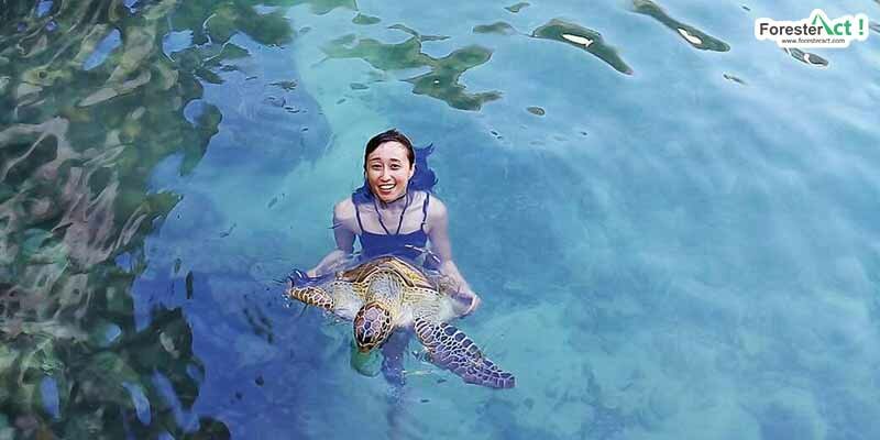 Konservasi Penyu di Pulau Liukang Loe (instagram.com)