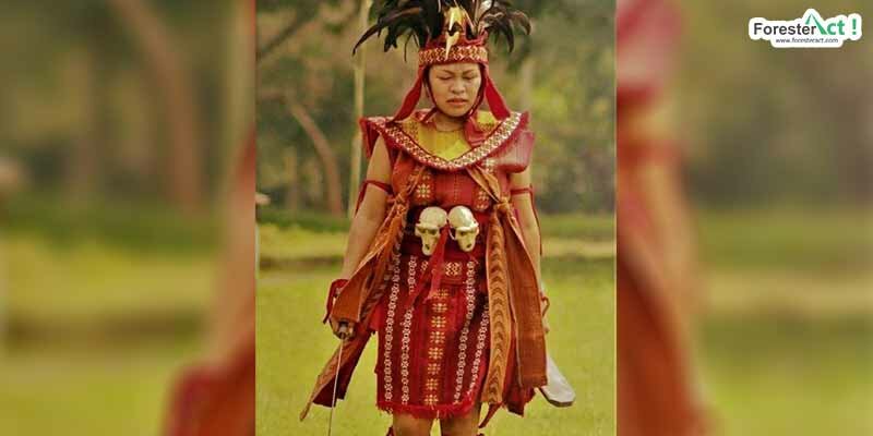 Nedine Helena Sulu, Dewan AMAN Nasional Region Sulawesi