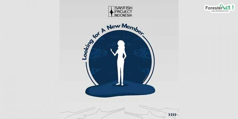Sawfish project Indonesia look for a new member
