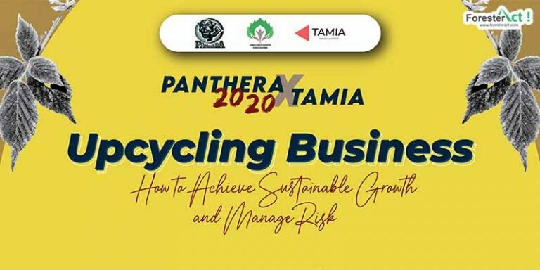 Panthera x Tamia
