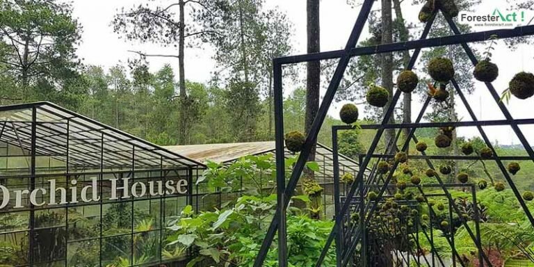 Orchid Forest Lembang (instagram.com)
