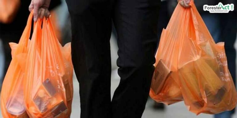 5 Inovasi Kreatif Alternatif Kantong Plastik
