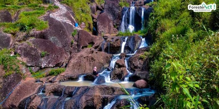 Air Terjun Kedung Kandang