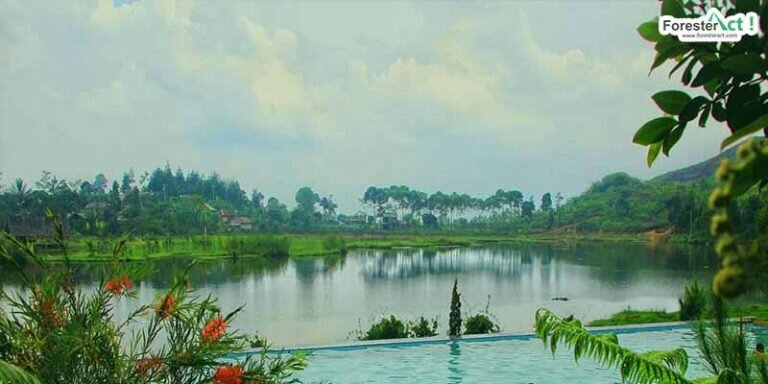 Situ Rawa Gede Bogor