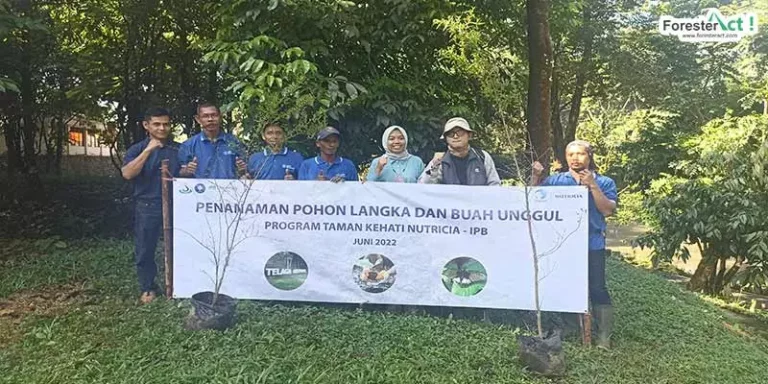 Penanaman Pohon oleh IPB dan Nutricia
