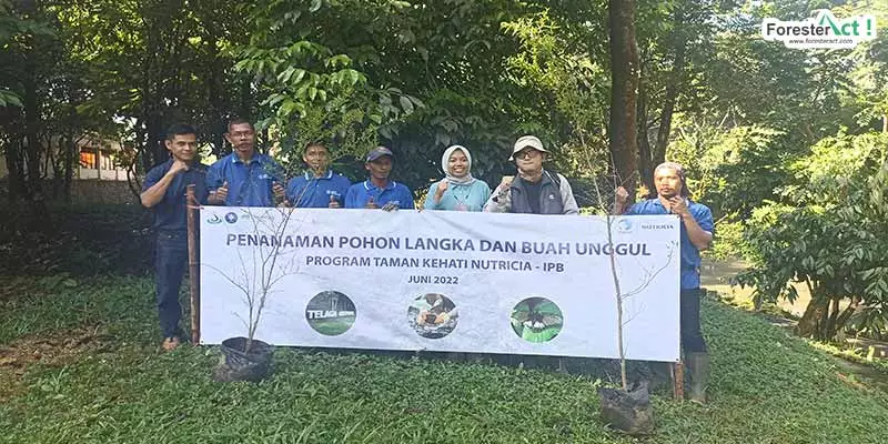 Penanaman Pohon oleh IPB dan Nutricia