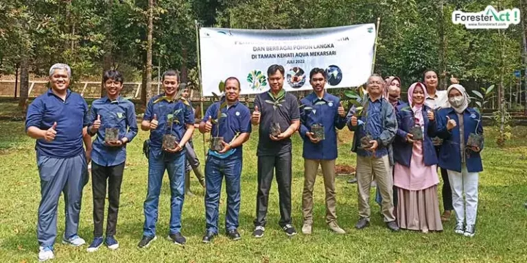 Kegiatan Penanaman Bibit Gutta Percha (Palaquium gutta) di Area Taman Kehati AQUA Mekarsari