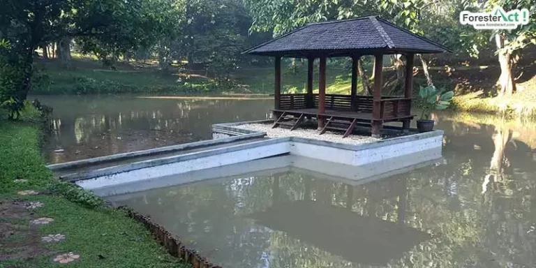 Taman Kehati Telaga Inspirasi