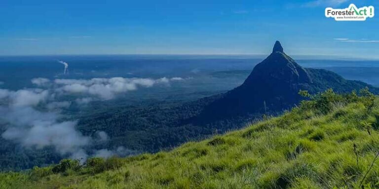 Bukit Besak, Lahat
