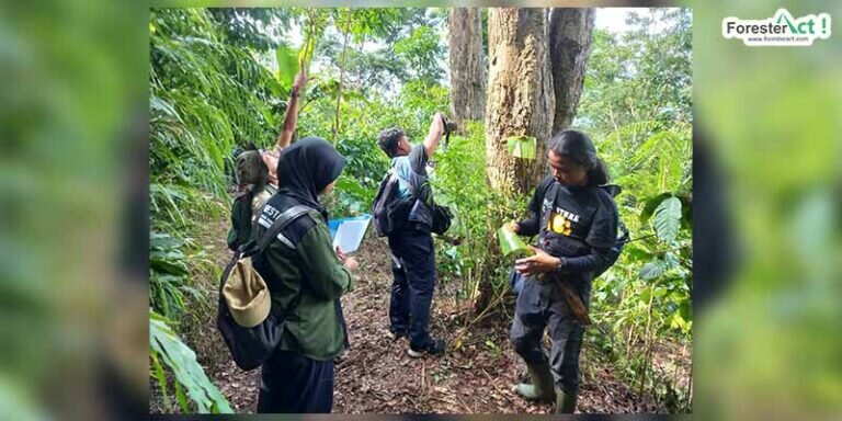 Kegiatan inventarisasi sonokeling